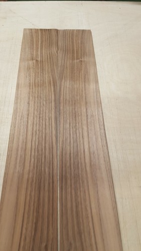 American black walnut - american,