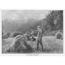 PARTRIDGE SHOOTING by R.B. Lodge - Antique Print 1895