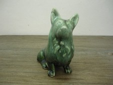 Welsh Corgi Dog Mottled Green