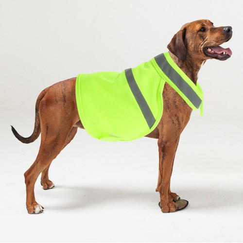 Protective dog vest for - vest,