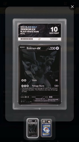 Pokemon tcg black bolt zekrom - tcg,