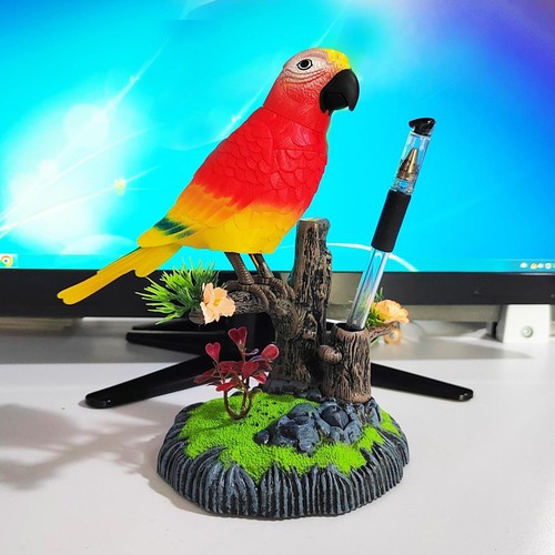 Voice parrots chirping bird - voice,