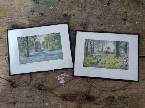 Pair vintage framed - vintage, john