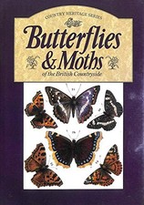 Butterflies And Moths: Of the