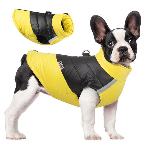 Waterproof winter dog jacket - dog,