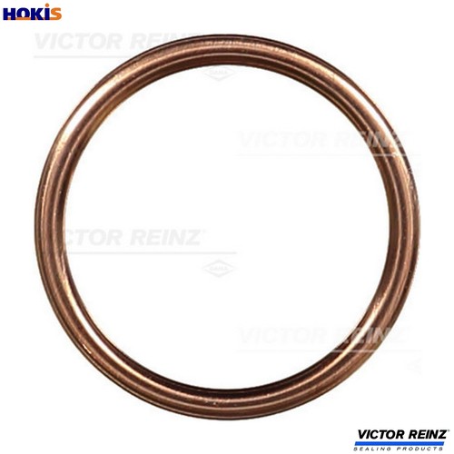 Seal ring oil - oil, plug