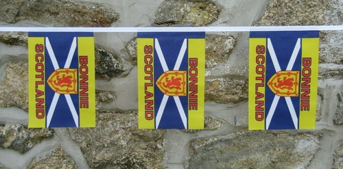 Bonnie scotland saltire - saltire, flag