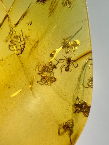 Burmese burmite cretaceous - burmite, a