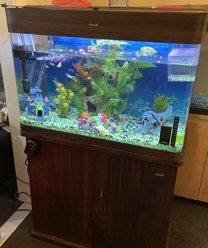 Cleair fish tank with stand - fish,