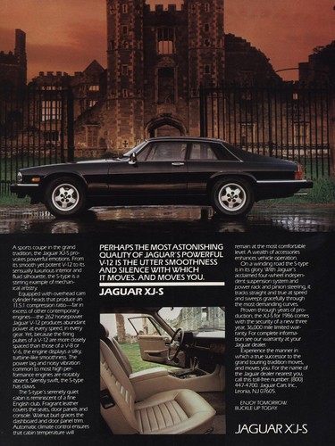 1986 jaguar xjs perhaps - 1986,