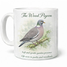 The wood pigeon british - wood, garden