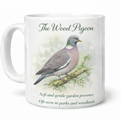 The wood pigeon - british, garden