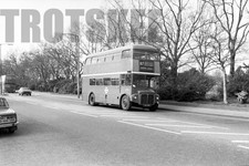 35mm Black and White Negative