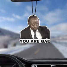 “You Are Gae” Novelty Car Air Freshener MEME