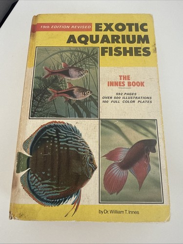 Exotic aquarium fishes 19th - aquarium,