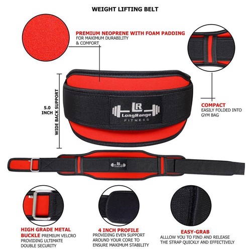 Weight lifting belt gym - lifting,