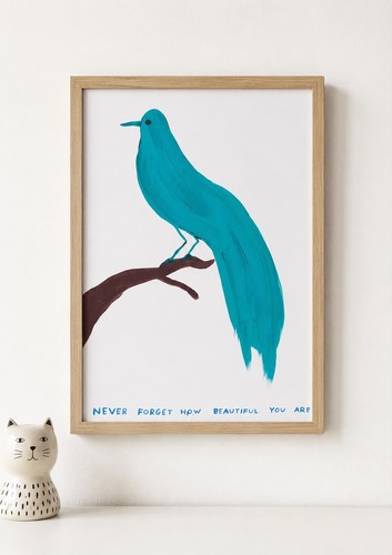 David shrigley never - david,