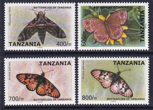 2009 tanzania butterflies - 2009, &