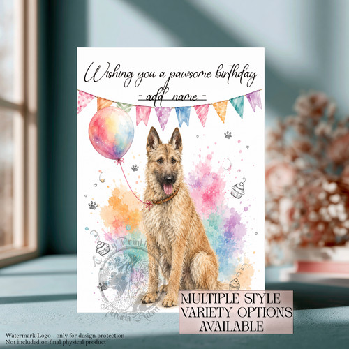 Belgian shepherd dog - belgian,