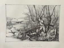 Antique Wild Duck Shooting Print c1880s – Large Engraving – Field Sports
