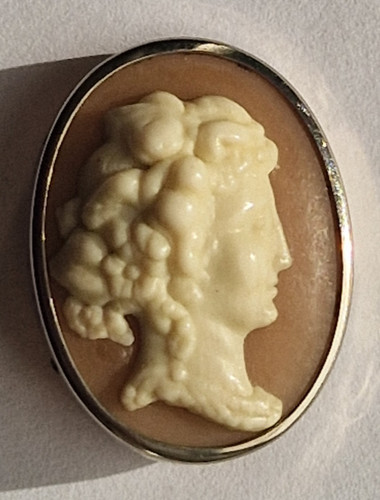 Vintage victorian style cameo - style,