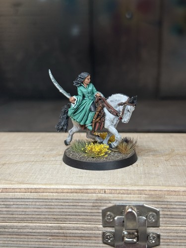 Pro painted arwen - pro, horse