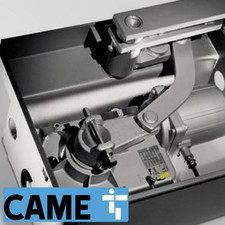 CAME | FROG-AE-P | 230V AC