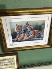 Stephen Gayford Cheek To Cheek  Framed Authenticity Cert Signed TIGERS ART