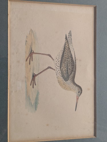 Antique prints c1870 - 4,