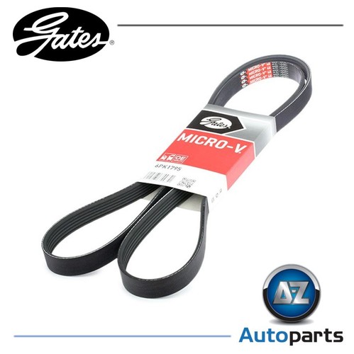 Rib ribbed belt 6pk1795 - v-ribbed,