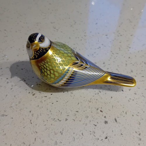 Royal crown derby great tit - royal,