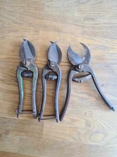 Vintage parrot beaked - vintage,