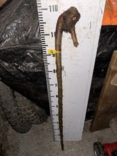 Blackthorn SHANK WALKING STICK