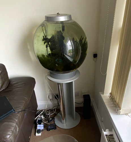 Biorb classic fish bowl 60l - fish,