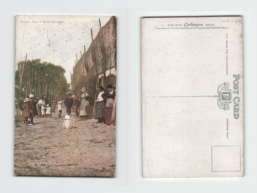 Postcard ready for - postcard,