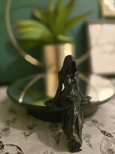 Lady sitting bookshelf - lady,