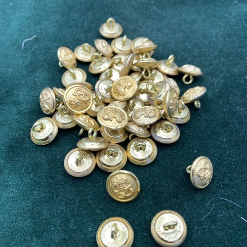 Staffordshire regiment 14mm - staffordshire,