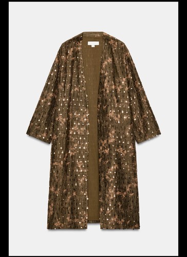 Zara sequin embellished olive - sequin,