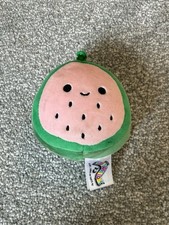Watermelon Squishmallow