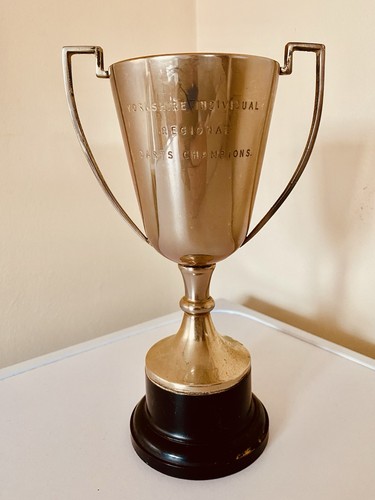 Silver trophy retro - 🏆,
