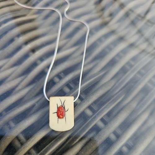 Silver necklace shibayama - &,