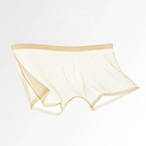 Mens sexy briefs see through - briefs,