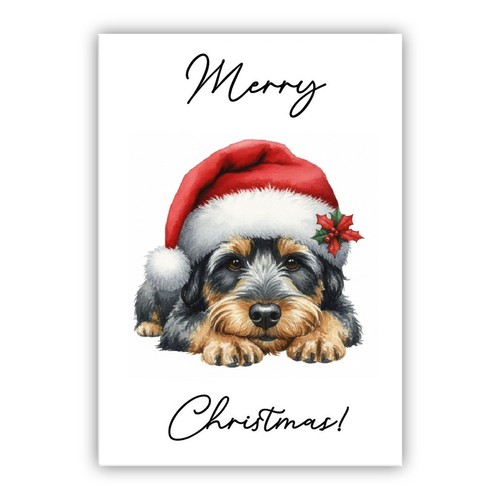 Australian terrier dog - terrier,