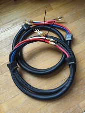 PS AUDIO XSTREME STATEMENT