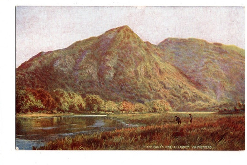 Killarney eagles nest kerry - nest,