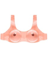 Stag Night Novelty Drag Panto