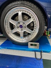 Digital Veterinary Scale