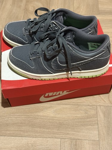 Nike dunk low iron - nike,