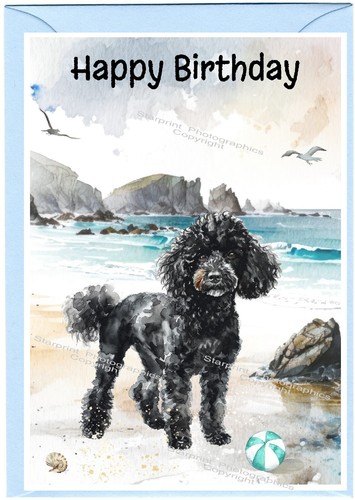 Poodle black dog birthday - birthday, card