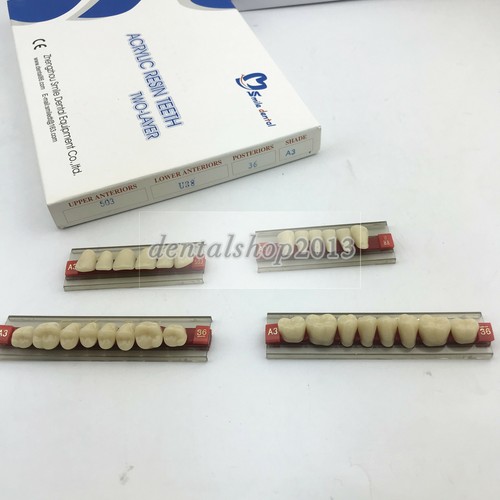 28pcs resin teeth denture - 28pcs,